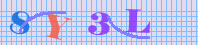  security image with code